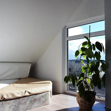 Kaunas Homestay Хостел Каунас