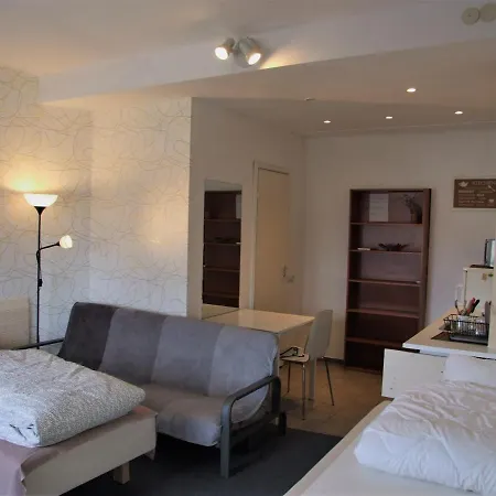 旅馆 Kaunas Homestay *