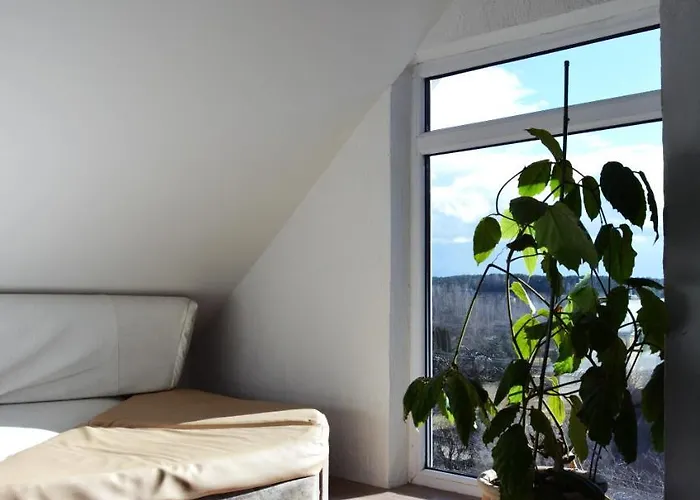 Kaunas Homestay Хостел Каунас